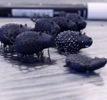 Chick by Pig | cotu